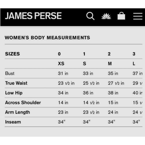 James Perse Womens Silk Charmuese Dolphin Shorts Brown Size 1 Small - Picture 7 of 7